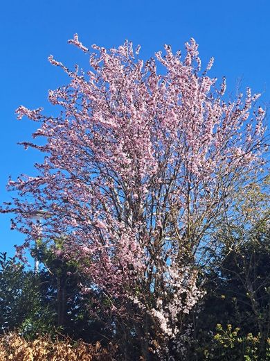 Frühling
