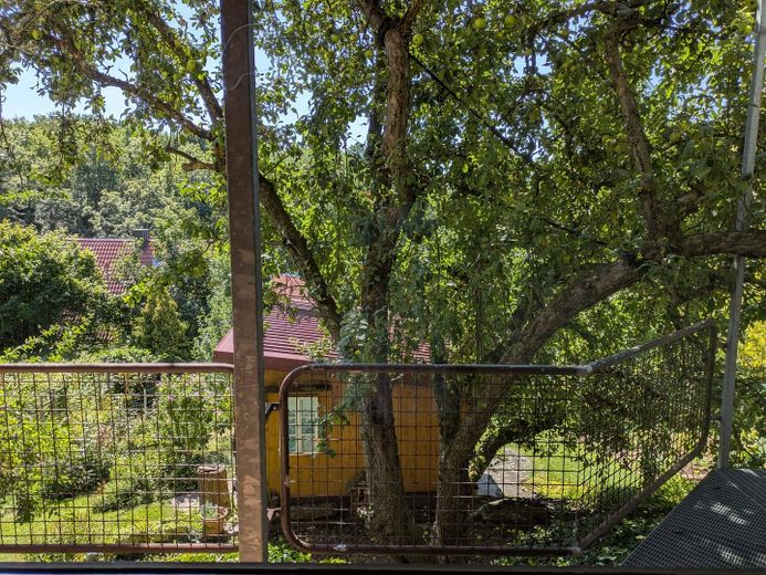 Terrasse Sicht Gartenhaus
