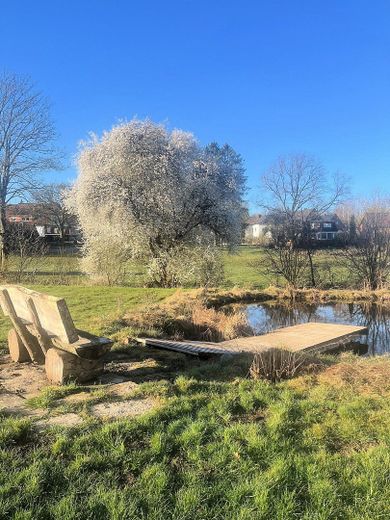 Teichgrundstück mit Bauplatz