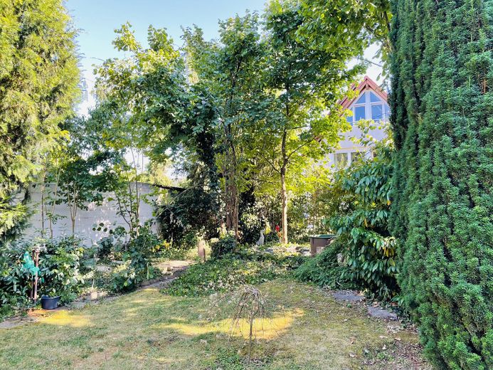 Gartenansicht beim Teich