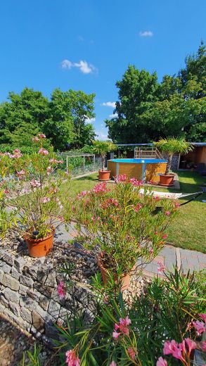Gartenansicht Gemüsegarten