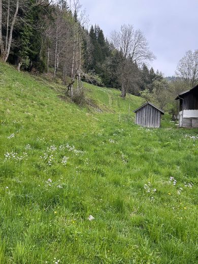 "Sonnenplateau" Grundstück mit Baugenehemigung in Traumlage im Herzen des Oberallgäus – Blick auf das Grundstück 