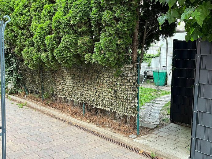 Eingang vom Fußweg