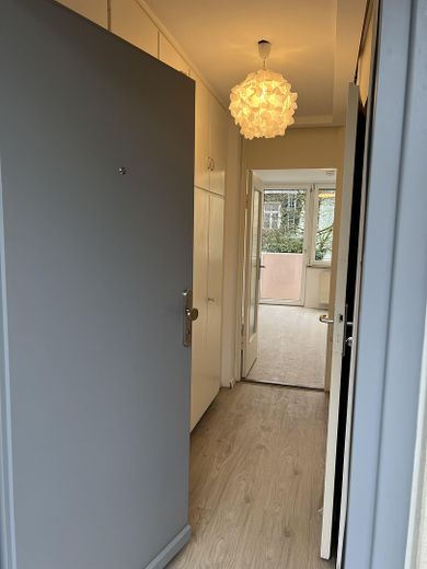Bezugsfreies renoviertes 1-Zimmer-Appartement mit Balkon – Foto 3
