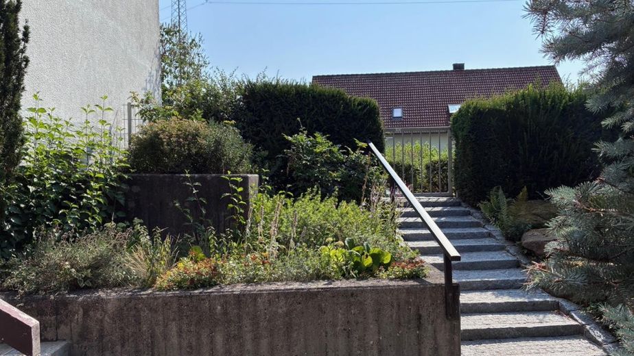 Villa d'architetto in stile Bauhaus con vista sulla valle del Main – Treppe Vorgarten - Garten