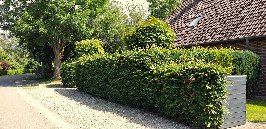 Haus mit Ambiente & Flair vor Sylt - inkl. Ausstattung und provisionsfrei! – Foto 30