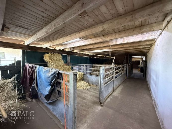 ***Mehrfamilienhaus &amp; Exklusiver Pferdehof mit Reitanlage auf ca 21.000 m² Grundstück*** – 5x Großboxen
