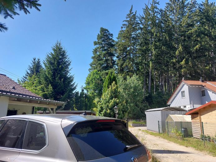 Abkühlung im Grünen: Traumhaftes Waldgrundstück & Wohlfühloase (Wochenendhaus/Freizeitgrundstück) – Foto 12