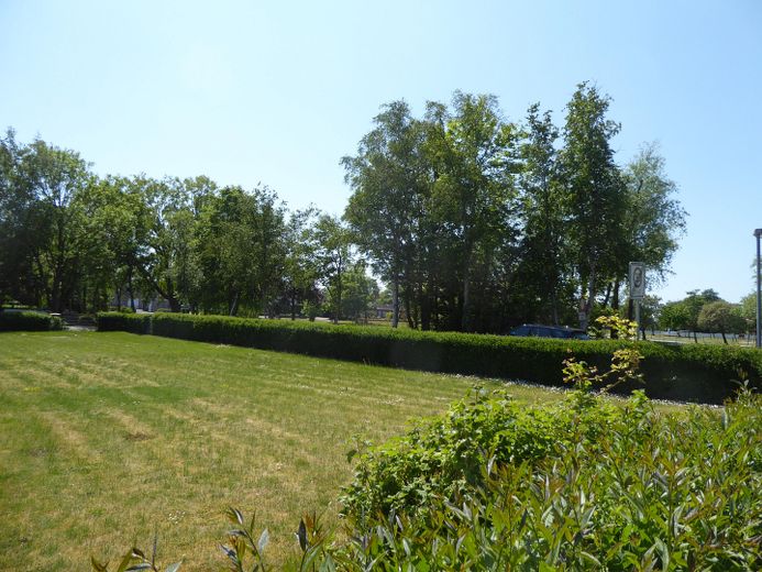 Baugrund, unverbaubarer Blick!