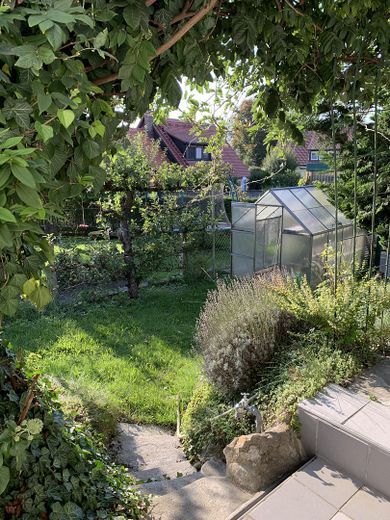Garten mit Gewächshaus