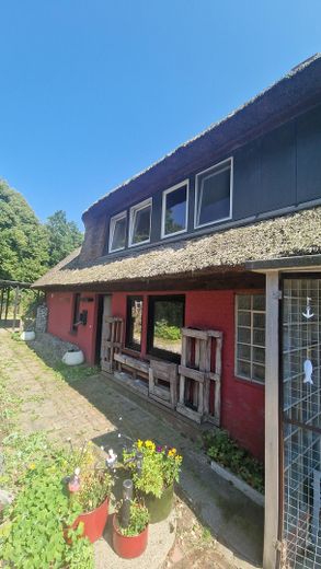 Reetdachkate DHH in Bredenbek, 9min nach Kiel und Rendsburg – Foto 2