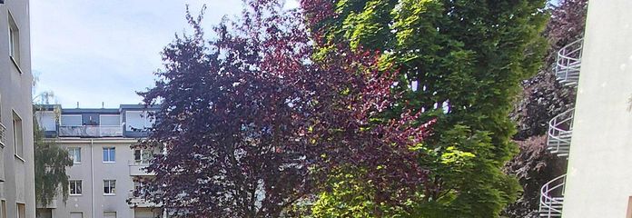 Blick in den Garten 