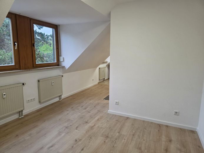 Beautiful 1-room apartment in Fürth-Dambach – vacant & immediately available – Wohn- und Schlafzimmer