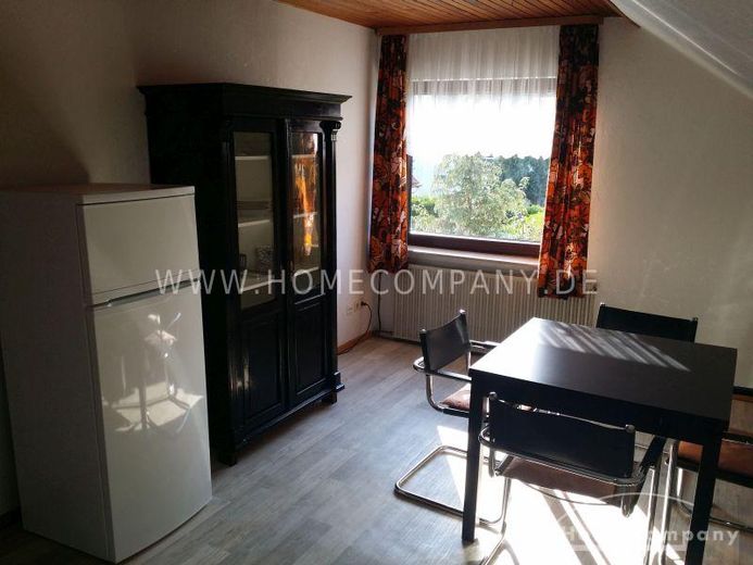 Bonito apartamento de 2 habitaciones, amueblado, con balcón, entrada independiente. – 4d439914c233f472f59047ca498f143640b106bf.jpg