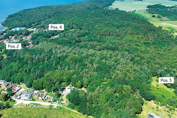 Wald in 18528 Lietzow /Insel Rügen, An der Waldstraße