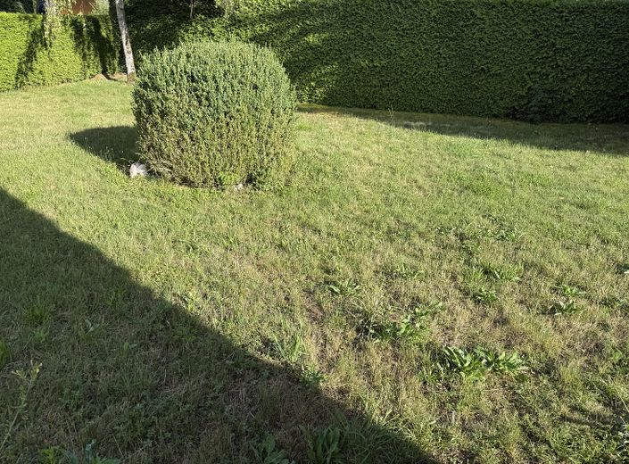 Baugrundstück Starnberg 2(5)
