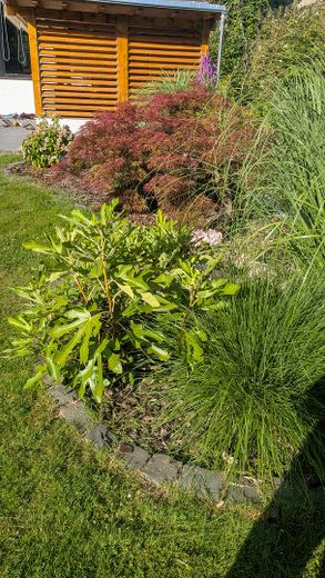 OHNE MAKLER! Freistehendes EFH auf 1.416 m² – seltenes Grundstück in zentraler Lage von Hennef – Garten