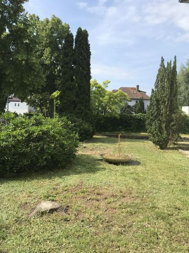 Lankwitz में टैरेस और बड़े बगीचे वाला सुंदर एकल-परिवार का घर – Bepflanzung im Vorgarten
