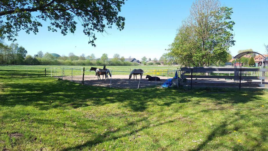 Ideal für Pferdehaltung - Einfamilienhaus, Baugrundstück, Stall und Hausweide / Resthof – Paddock und Hausweide
