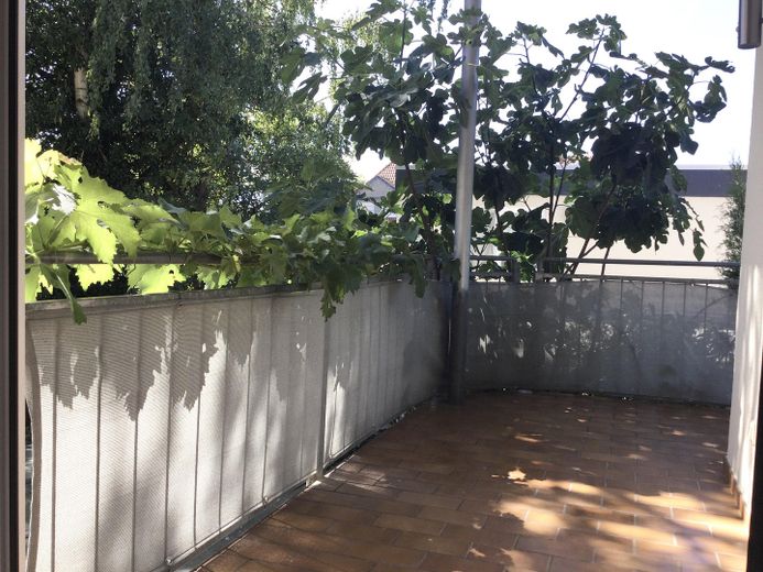 Ein-/Zweifamilien Stadthaus am Weinberg kernsaniert, vielseitig nutzbar, freistehend – Balkon OG