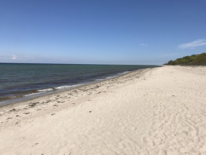 DHH-Juwel 90 qm mit Ostsee-Blick und Naturstrand – Naturstrand Barendorf