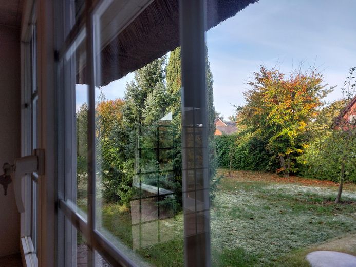 Ausblick in den Garten
