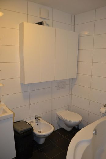 Doppelhaushälfte / Mehrgenerationenhaus / Mehrfamilienhaus / Haus – DG Bad
