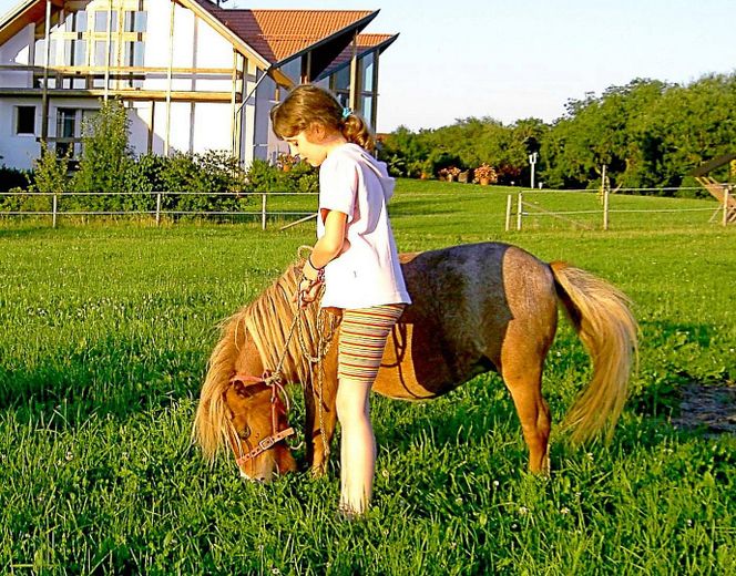 Das besondere Haus, großes Grundstück, Tiehaltung, Pferde Schafe o.ä., dort wo andere Urlaub machen – Enkel mit Pony