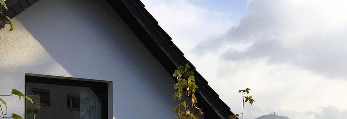 Vorderfront