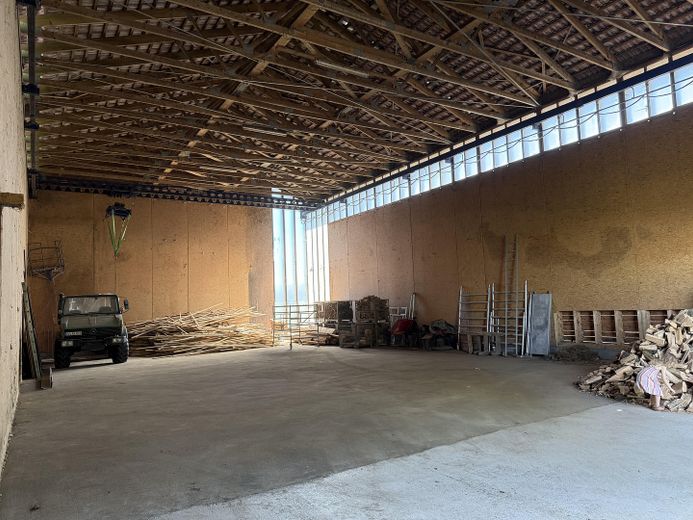 Halle als Lager, Produktionsfläche oder Einbau Padel Court – Foto 4