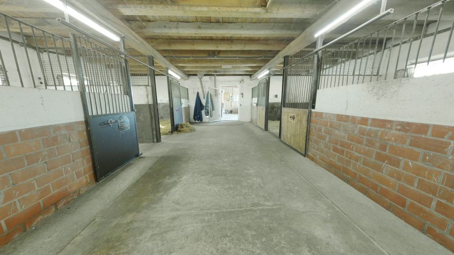 Resthof in echter Alleinlage: Modernisiert | 29.000 m² | 
Einliegerwohnung | Pferdehaltung | Pool – Pferdeboxen
