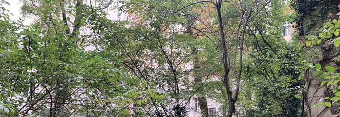 Appartement ancien de 56 m² sans commission, avec nouvelle toiture et nouveau chauffage au Heckmannufer, dans le quartier de Wrangel – Innenhof
