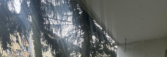 Wunderschöne, kernsanierte 1-Zimmer-Wohnung mit Terrasse und Blick ins Grüne