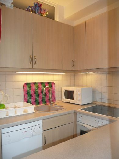 Einbauküche, Geschirrspüler