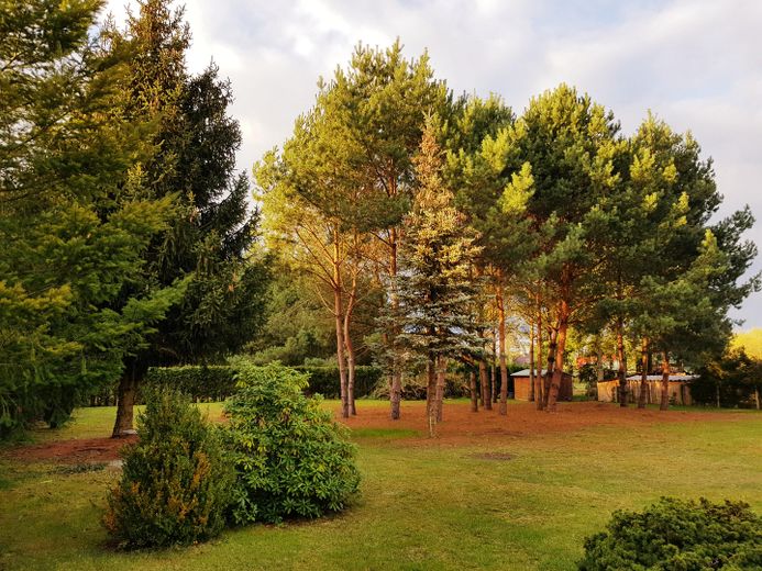 Heidesee/Berliner Südosten: Praktische 2-Zimmer Whg., tolle Natur, Berlin-City 45min, BER 25min – फोटो 14