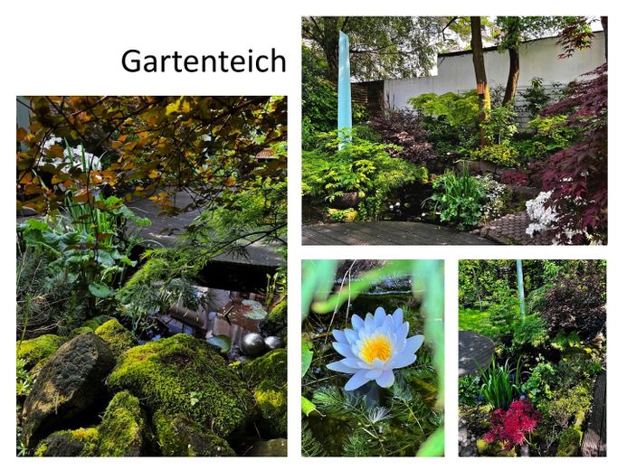 Grüne Wohlfühloase mit Südbalkon und wunderschönem Garten – Foto 8