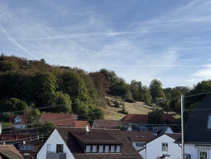 Licht, gezinsvriendelijk huis - dicht bij de natuur – Blick aus dem OG-Zimmer