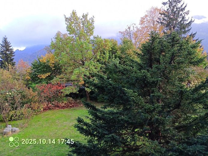 Provisionsfreies freistehendes Einfamilienhaus mit großem Garten – Foto 25