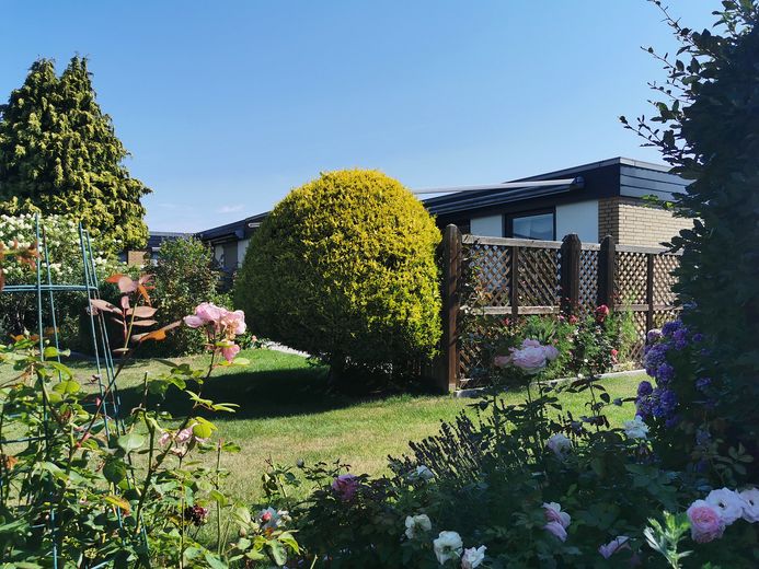 Gepflegter Bungalow mit parkähnlichem Garten – Garten