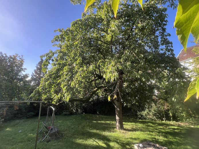 Seelze Zentrum, 2 Häuser, 4 Einheiten, viele Möglichkeiten – Garten