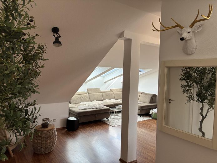 سكن مفروش فوق أسطح درسدن: شقة ميزونيت راقية من 3 غرف ومجهزة بالكامل – Blick auf Sofa