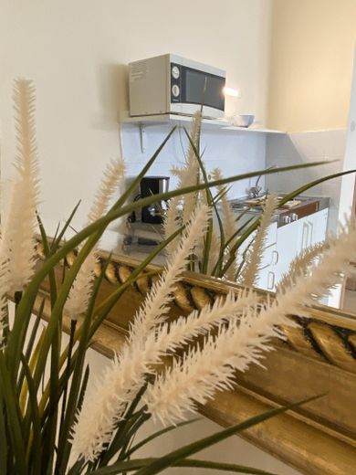 Elegante apartamento para soltero (amueblado) cerca del barrio japonés – Foto 1