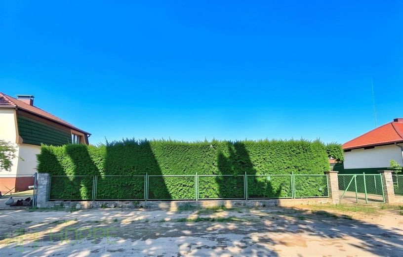 Dahlwitz-Hoppegarten - 800 m² Topgrundstück in Waldesruh für Ihr Traumhaus vor den Toren Berlins – Straßenfront - (KI generiert)