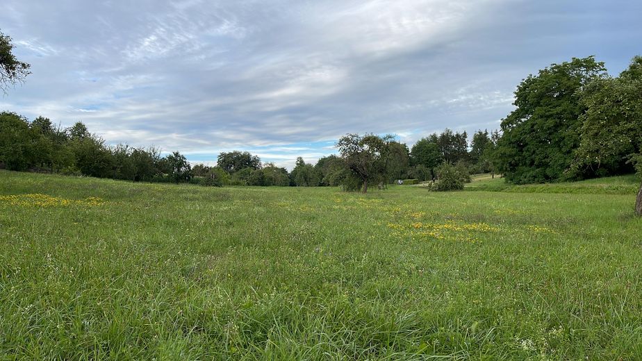 Natur um die Wohnung