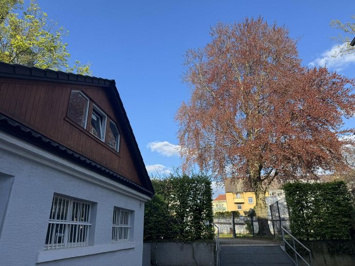 Attraktive DG-Wohnung -  Citylage im Grünen an Kuppelkirche, hohe Lebensqualität; von privat – Abstellraum für Fahrräder