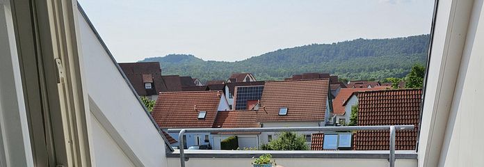Dachloggia