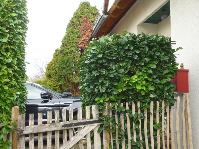 Eingang Blick von Terrasse 4