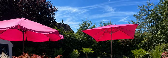 Exklusive Poollandschaft
