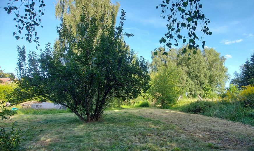 Garten_hinten