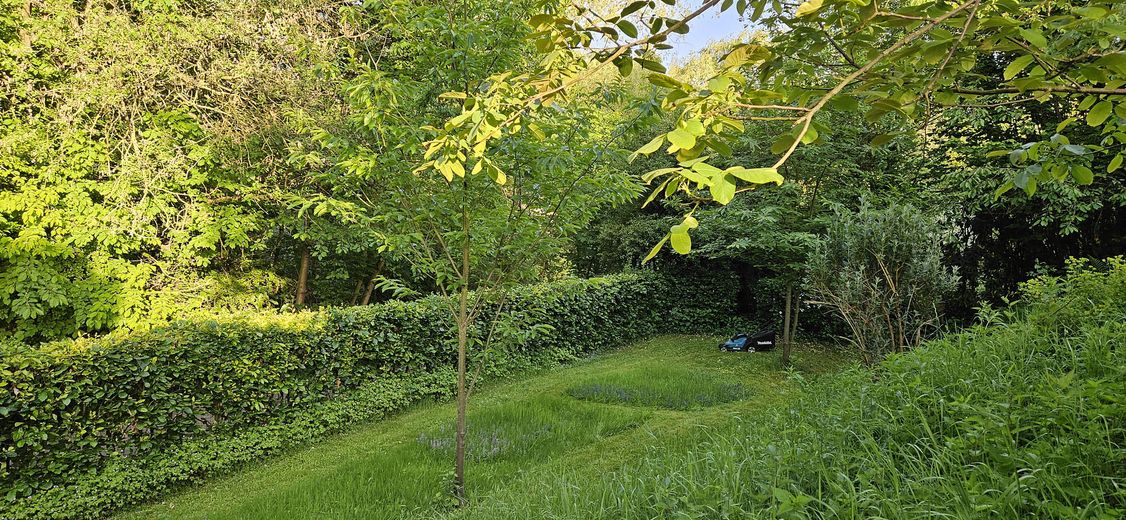 EFH / großer Hausteil mit EBK, Kamin, 2 Terrassen und traumhaftem Garten in direkter Seenähe 🌊 – Garten
